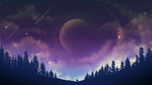 Best Desktop Wallpapers – Desktop Wallpaper Free Download (37)