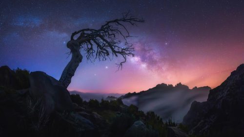 Best Windows Wallpapers – Windows Wallpaper Free Download (9)