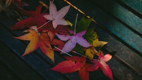 Desktop Wallpapers