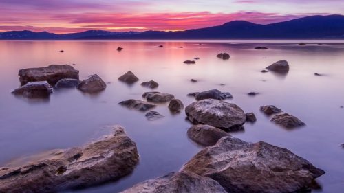 Desktop Wallpapers
