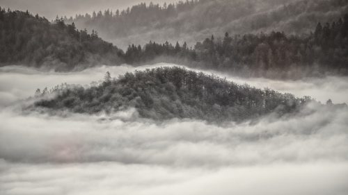 Free Desktop Wallpapers