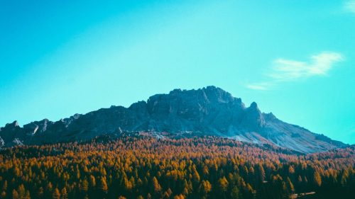 Free Desktop Wallpapers