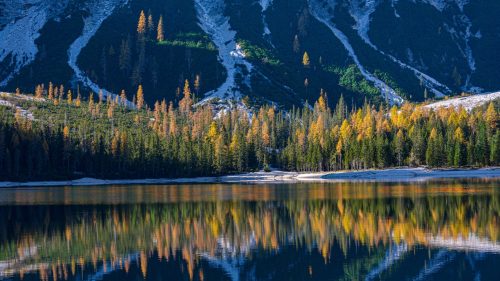 Free Desktop Wallpapers