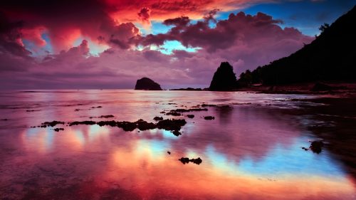 Free Wallpapers