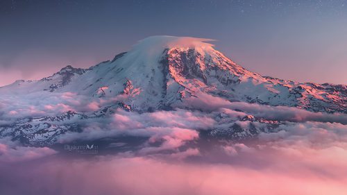 Free Wallpapers