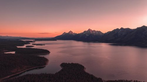 Free Wallpapers