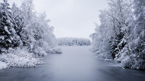 HD Wallpaper