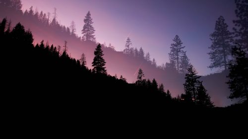 HD Wallpapers