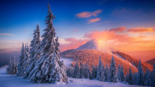 HD Wallpapers