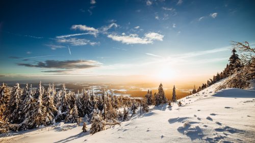 HD Wallpapers – Download Free HD Wallpapers For Desktop and Mobile (58)