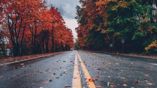 4k Wallpapers for Mac