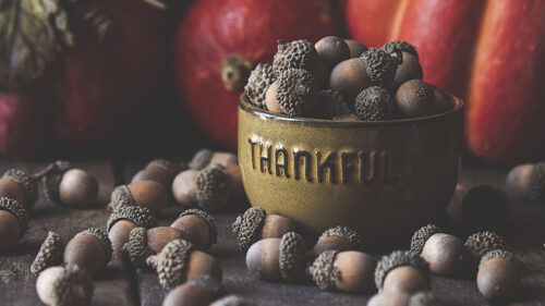 Acorns Bowl Fruit Wallpapers Free Downlaod