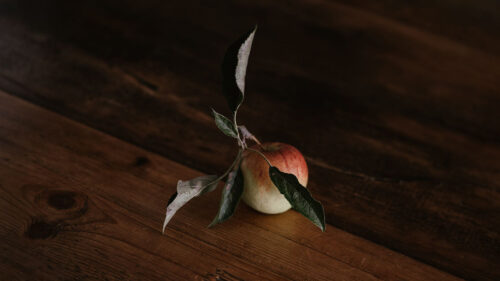 Apple Leaves, Fruit Wallpapers Free Download
