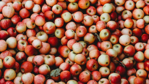 Apples, Fruit, Garden Wallpapers Free Download