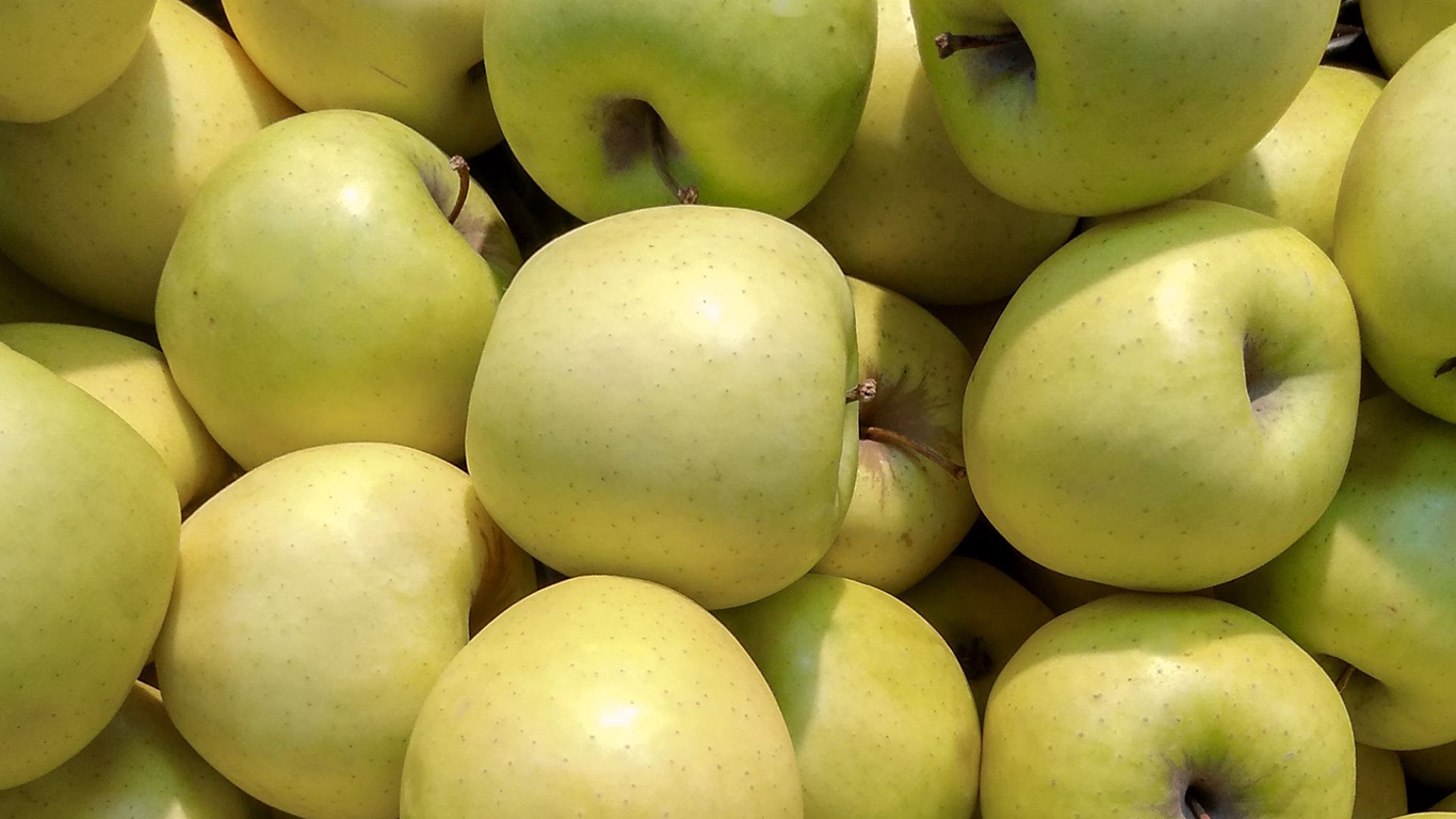 Apples Fruit Green Wallpapers Free Download - Desktop Wallpapers Apples Fruit Green Wallpapers Free Download - Desktop Wallpapers