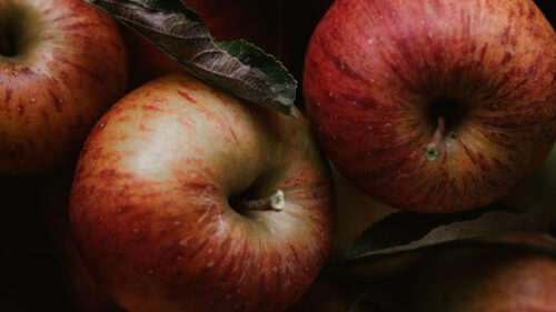 Apples, Fruit, Red Wallpapers Free Download