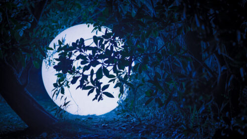 Ball Glow Light Wallpapers Free Download