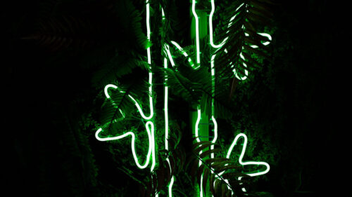 Bamboo Neon, Light , Wallpapers Free Download