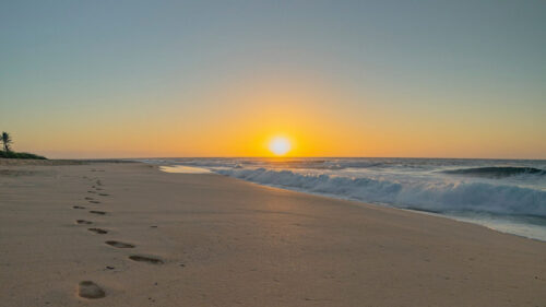 Beach, Sunset, Wallpapers Free Download