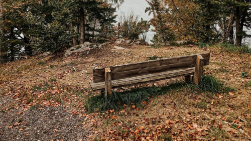 Bench, Shop, Trees HD Wallpapers Download