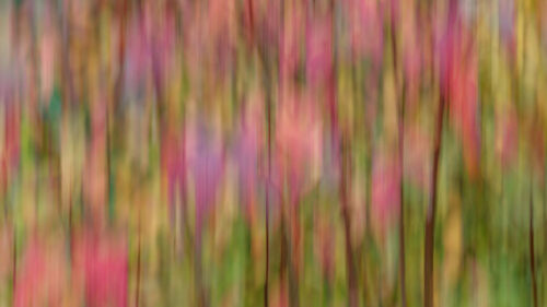 Blur, Ripple, Abstraction Wallpapers Free Download