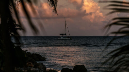 Boat, Sea, Palm, Trees Wallpapers Free Download