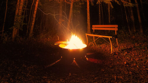 Bonfire, Bench, Forest, Wallpapers Free Download