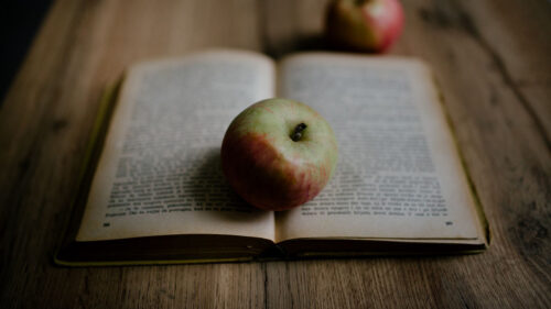 Book, Apple, Fruit, Wallpapers Free Download
