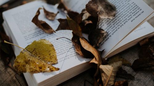 Book, Leaves, Autumn, Wallpapers Free Download