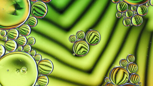 Bubbles, Drops, Liquid, Wallpapers Free Download