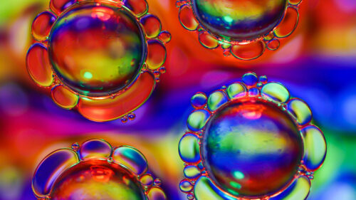 Bubbles, Liquid, Macro, Wallpapers Free Download