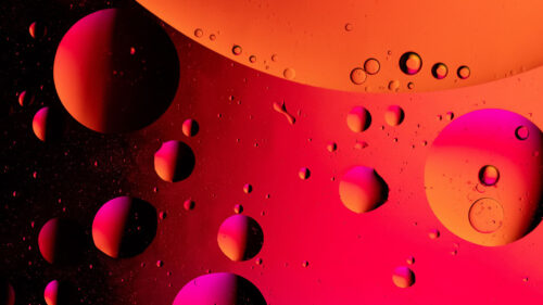 Bubbles, Liquid, Oil, Pink, HD Wallpapers Free Download