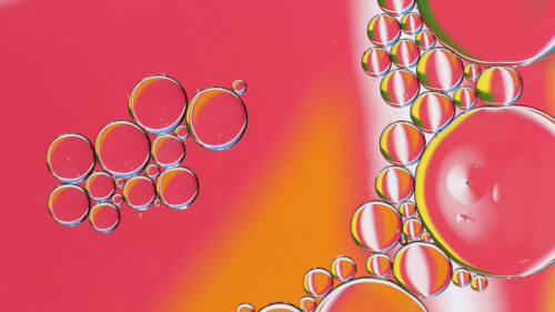 Bubbles, Liquid, Oil, Pink, Wallpapers Free Download
