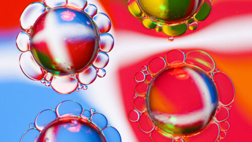 Bubbles, Liquid, Oil, Red, Wallpapers Free Download