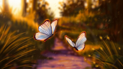 Butterflies, Glare, Light Wallpapers Free Download