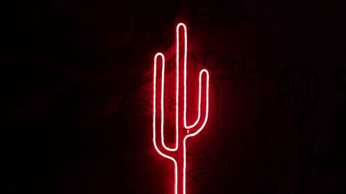 Cactus, Neon, Light Wallpapers Free Download