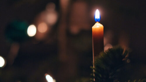 Candle, Fire, Christmas, Tree, Wallpapers Free Download