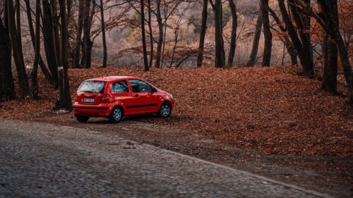 Car, Red, Nature, Wallpapers Free Download