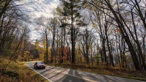 Car, Road, Autumn, Wallpapers Free Download