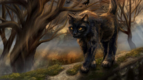 Cat, Fairy, Tale, Pet, Wallpapers Free Download For Desktop