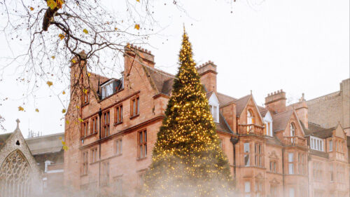 Christmas, Tree, Building, Fog, Wallpapers Free Download For Your Device