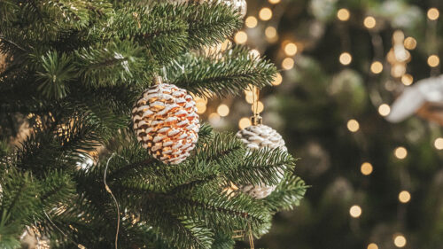 Christmas, Tree, Garland, Decoration, Wallpapers Free Download For Your Device (2)