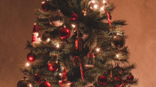Christmas, Tree, Garland, Decoration, Wallpapers Free Download For Your Device (3)