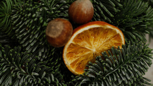 Christmas, Tree, Oranges, Slices, Wallpapers Free Download For Your Device