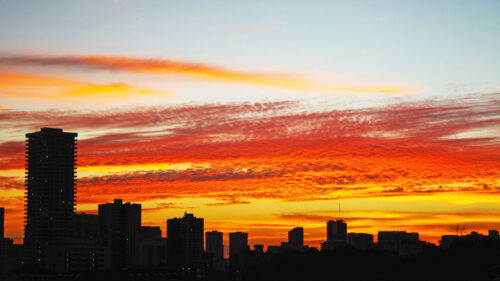 City, Buildings, Sunset, Wallpapers Free Download For Windows & iOS