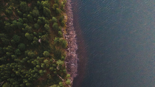 Coast, Aerial, View, Forest, Wallpapers Free Download For Desktop