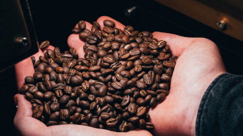 Coffee, Beans, Coffee, Hands, Wallpapers Free Download For Desktop