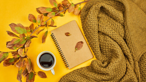 Coffee, Drink, Cup, Wallpapers Free Download For Desktop