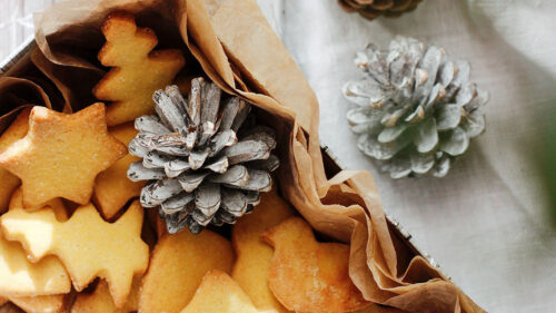 Cookies, Cones, Branch, Wallpapers Free Download For Desktop