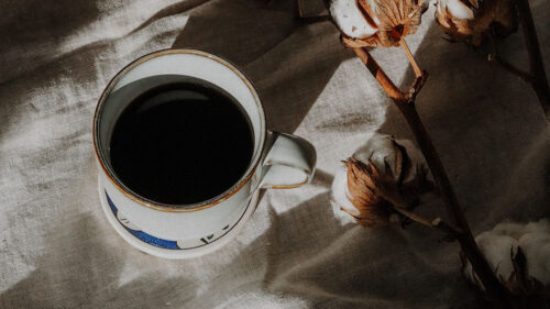 Cup, Coffee, Branch, Wallpapers Free Download For Desktop